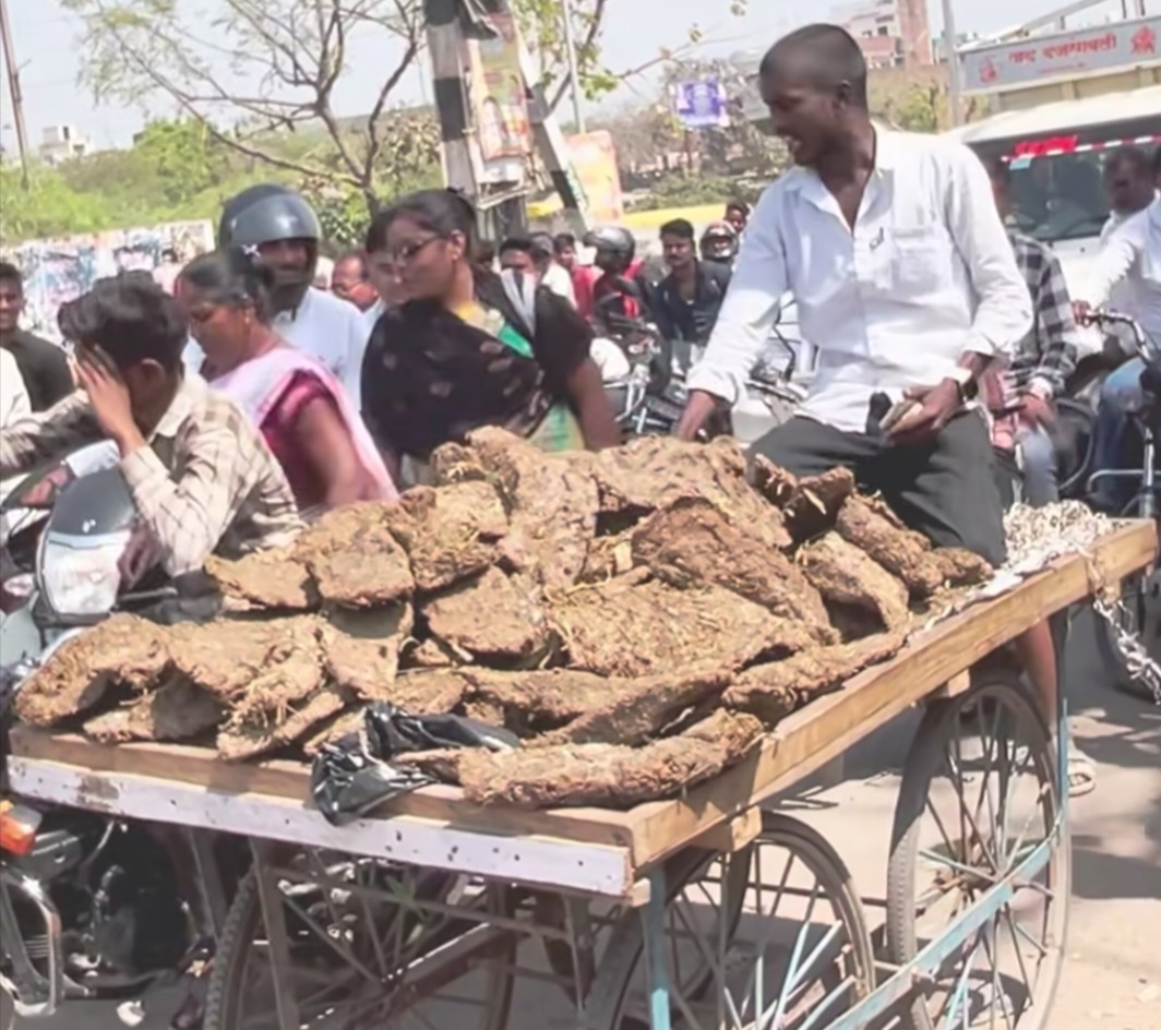 नोएडा और दिल्ली-एनसीआर इलाके में गोबर के उपले (cow dung cakes) सच में काफी धड़ल्ले से बिक रहे हैं