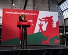 60% of Welsh voters unaware of how new system will work in May elections