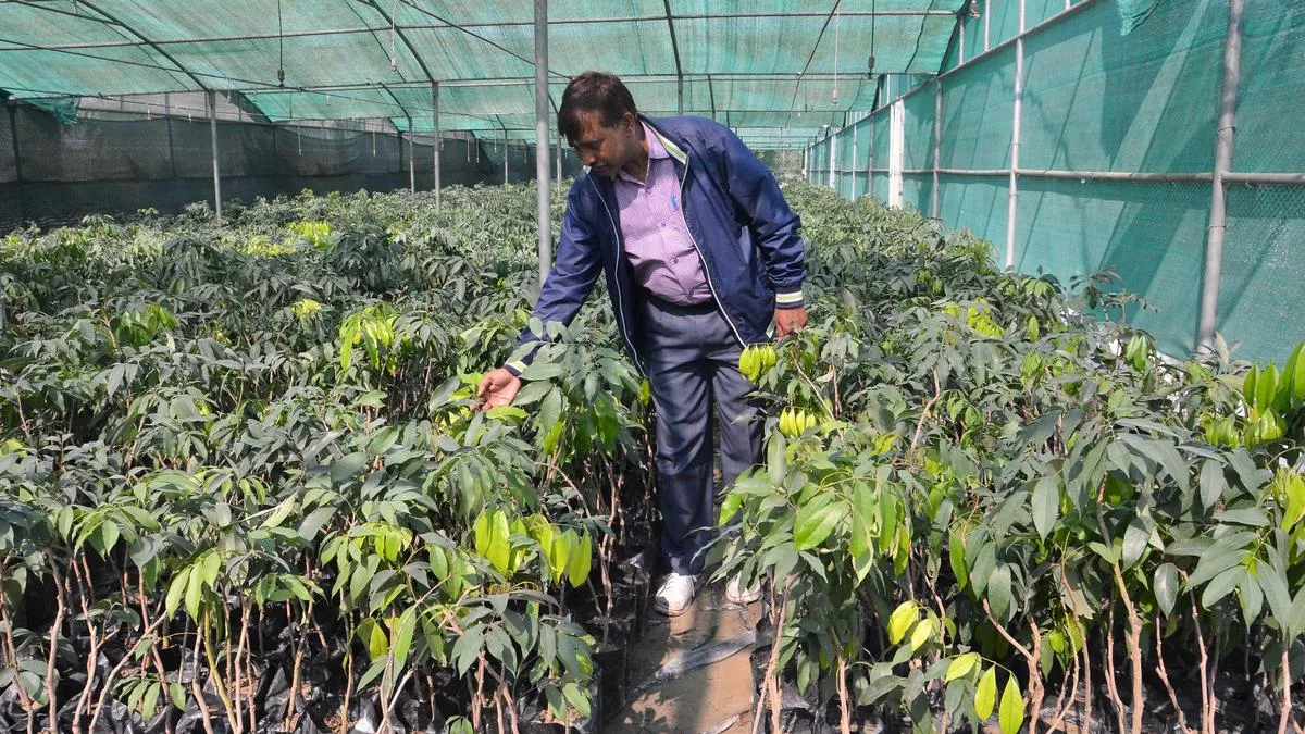 A three-day Bihar Nursery and Green-Tech Conclave 2026 in Patna from March 21