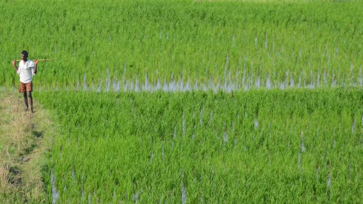 Allocation to Telangana&rsquo;s Rythu Bandhu in FY 2026-27 likely to see a decline