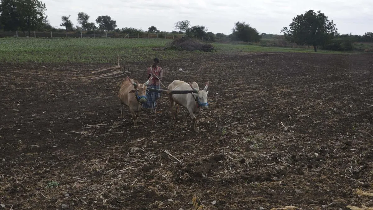 Budget has schemes and projects lined up for North Karnataka