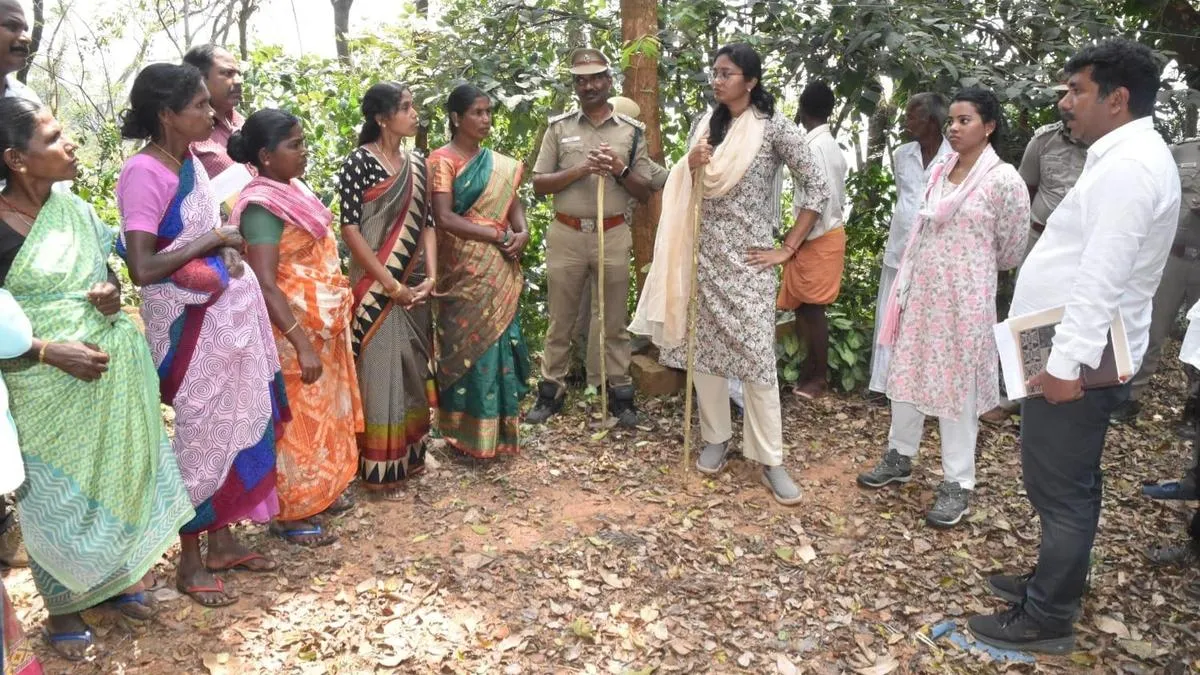Collector inspects tribal village in The Nilgiris