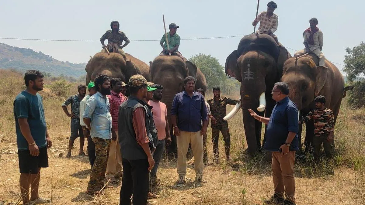 Elephant herd triggers panic in Chittoor village again