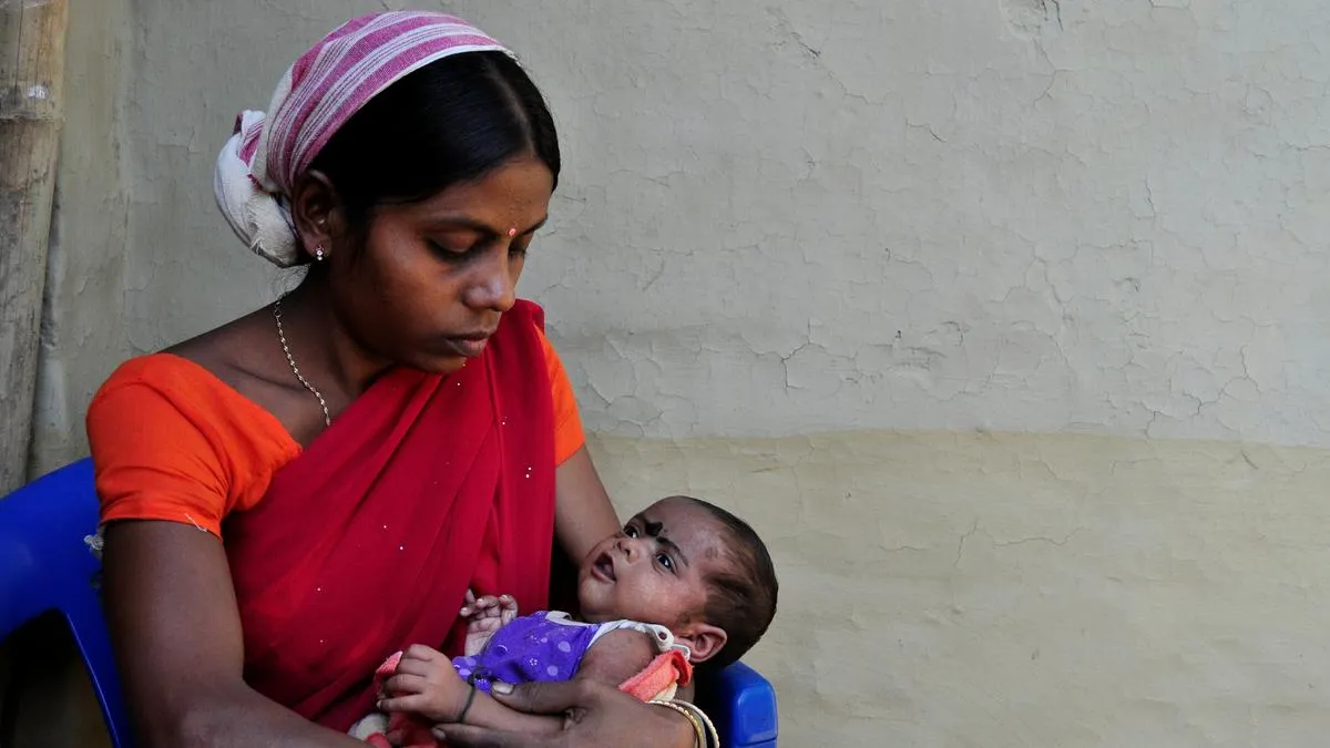  Experiencing heat during pregnancy results in fewer male babies: study