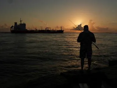  Federal 'God squad' poised to exempt oil and gas drilling in the Gulf from endangered species rules - TownLive News