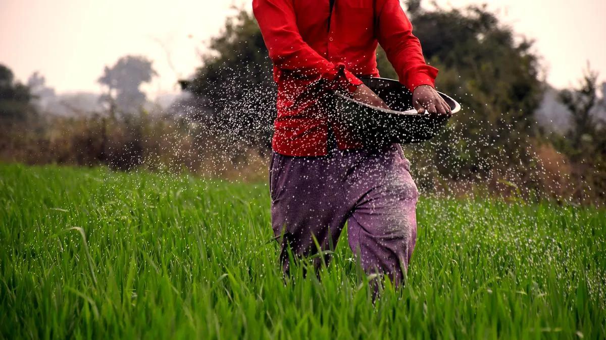 Fertilizer stocks for kharif: Centre struggles to avoid crisis