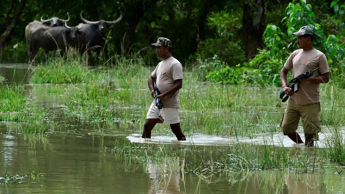Former civil servants oppose &lsquo;illegal&rsquo; deployment of Assam forest force on poll duty - TownLive News