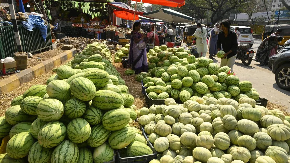 IMD issues advisory to overcome heatwave conditions in summer