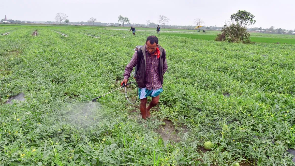 Iran war impact: Pesticide industry warns of price rise, spread of fake materials