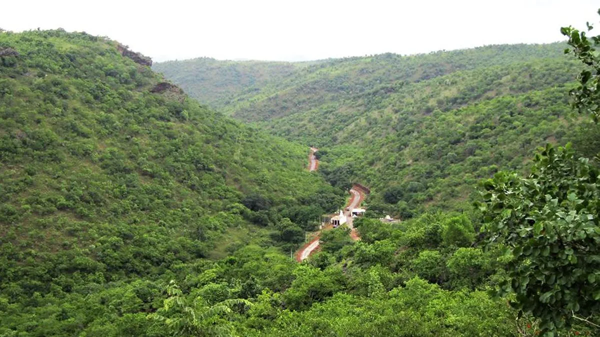 Karnataka High Court directs inclusion of left-out 55 sq. km reserve forest area to Kappatagudda Wildlife Sanctuary 