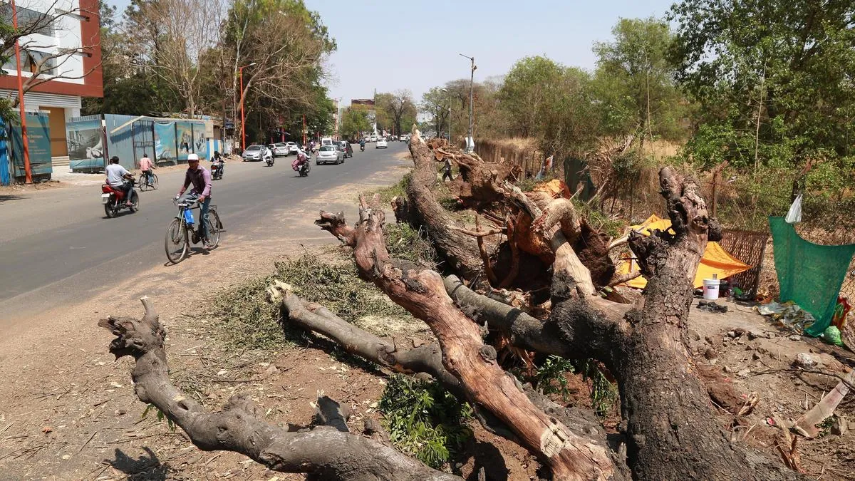 Kumbh Mela: NGT stays tree-felling in Nashik till Apr 28; Mayor defends move