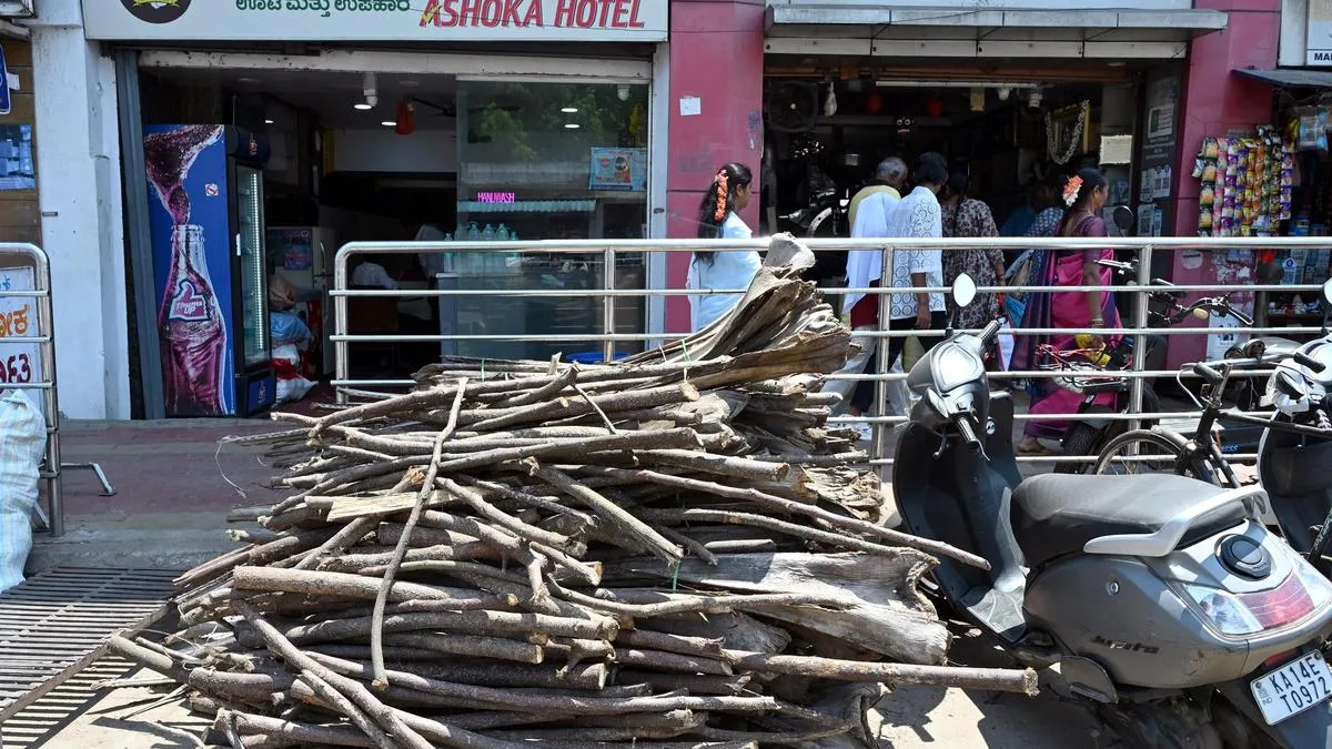 LPG crisis: Cooking gas crunch revives firewood economy in rural and semi-urban Karnataka