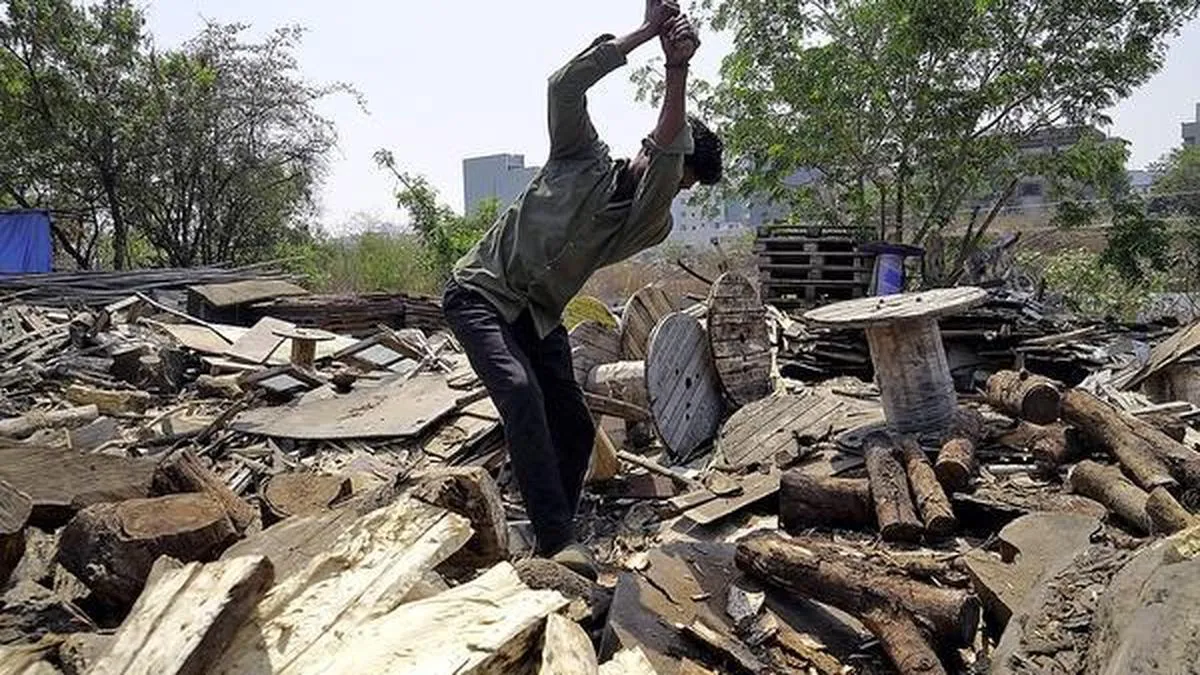 LPG shortage sparks surge in firewood demand in Kerala