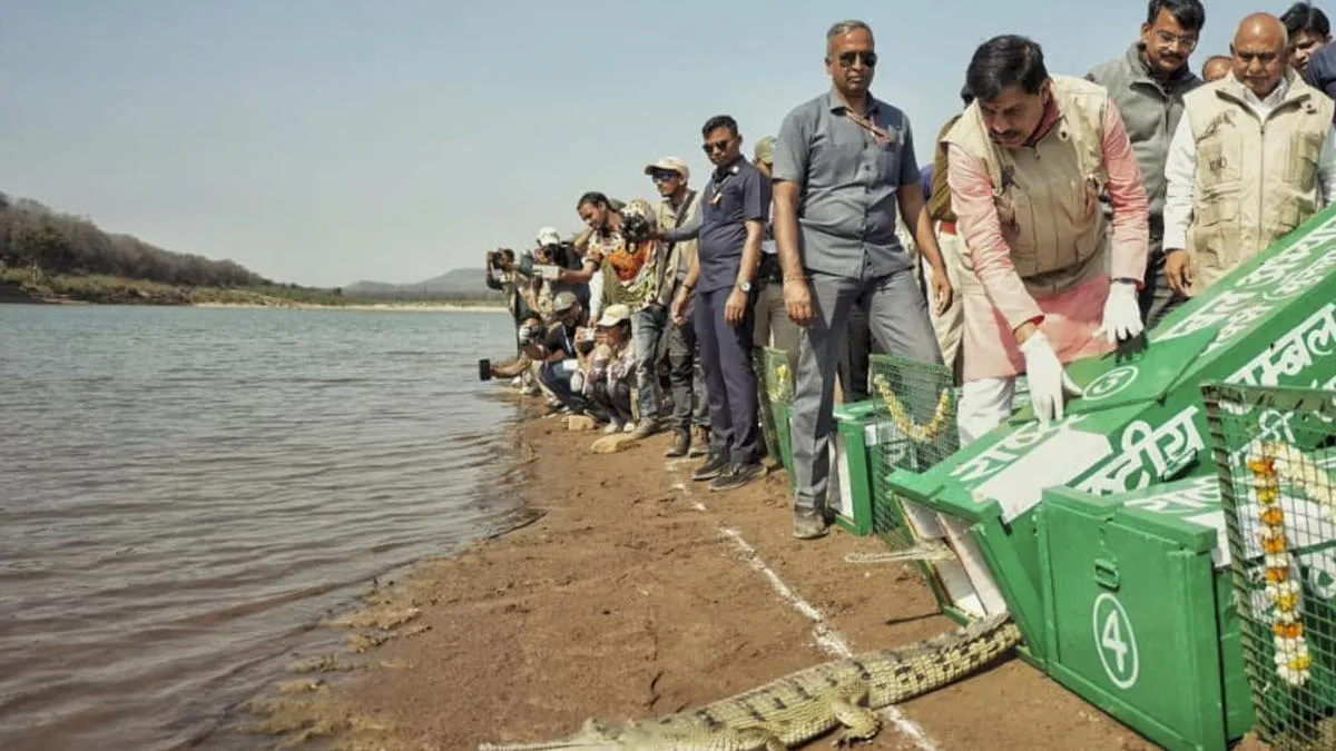 Madhya Pradesh CM Yadav releases gharials, turtles at Kuno National Park