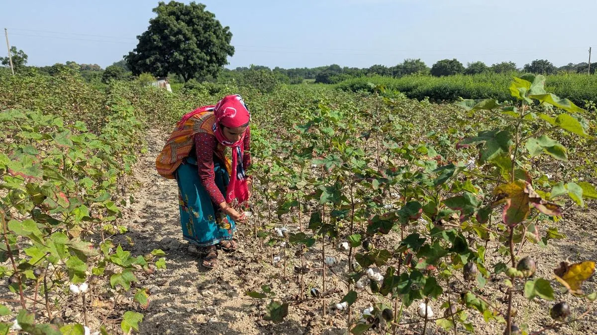 Over six lakh Maharashtra farmers yet to get 2017 loan waiver scheme benefit: Minister in assembly