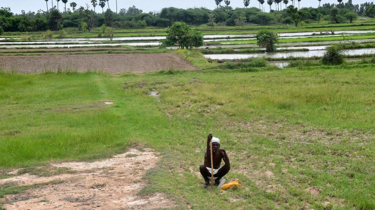 Parandur airport project notified as &lsquo;Special Project&rsquo;