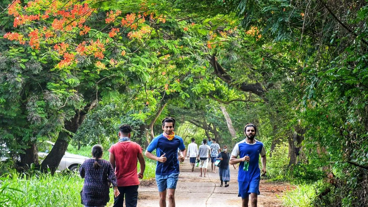 Physical activity aligned with climate action offers greater combined benefits: Study