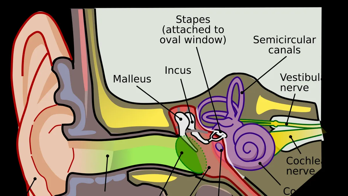 Quiz: On hearing health