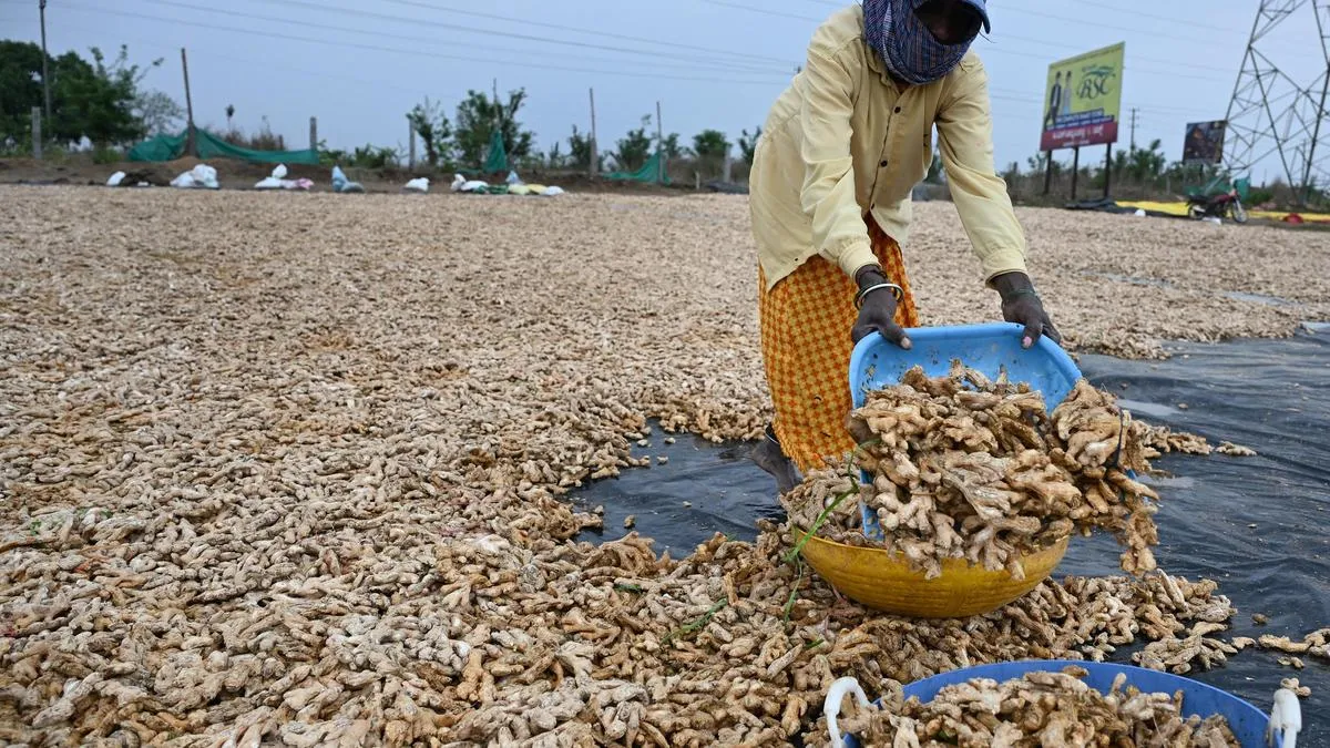 Rain disrupts life in three districts