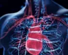 Scientists develop AI tool to spot heart failure risk five years before it strikes