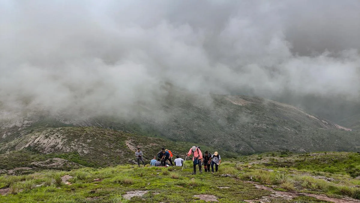 Scientists outline genomic-based conservation roadmap for Eastern Ghats