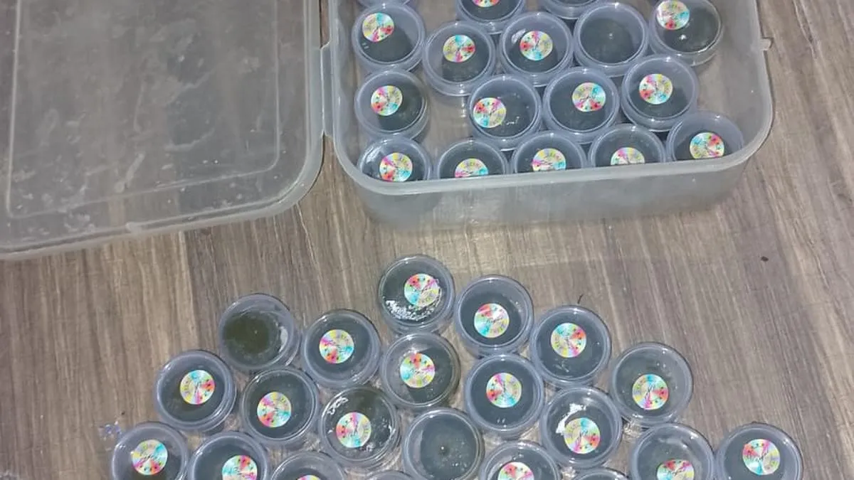 Six held with over 2.5 kg bhang in separate cases during Holi checks