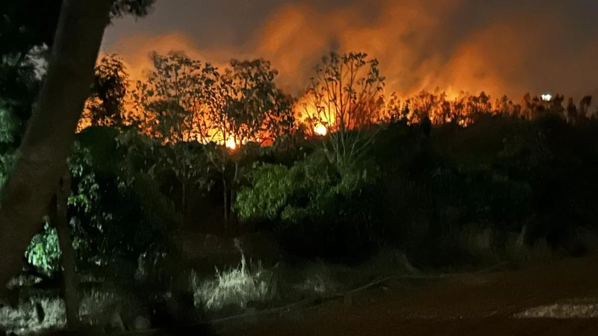 Social activist flags frequent fires in Magadi taluk