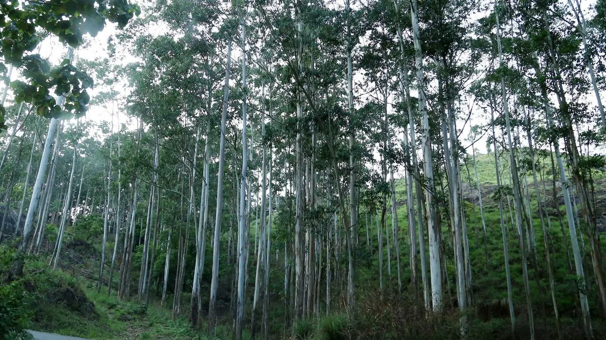 State govt. approves renewal of land lease to KFDC