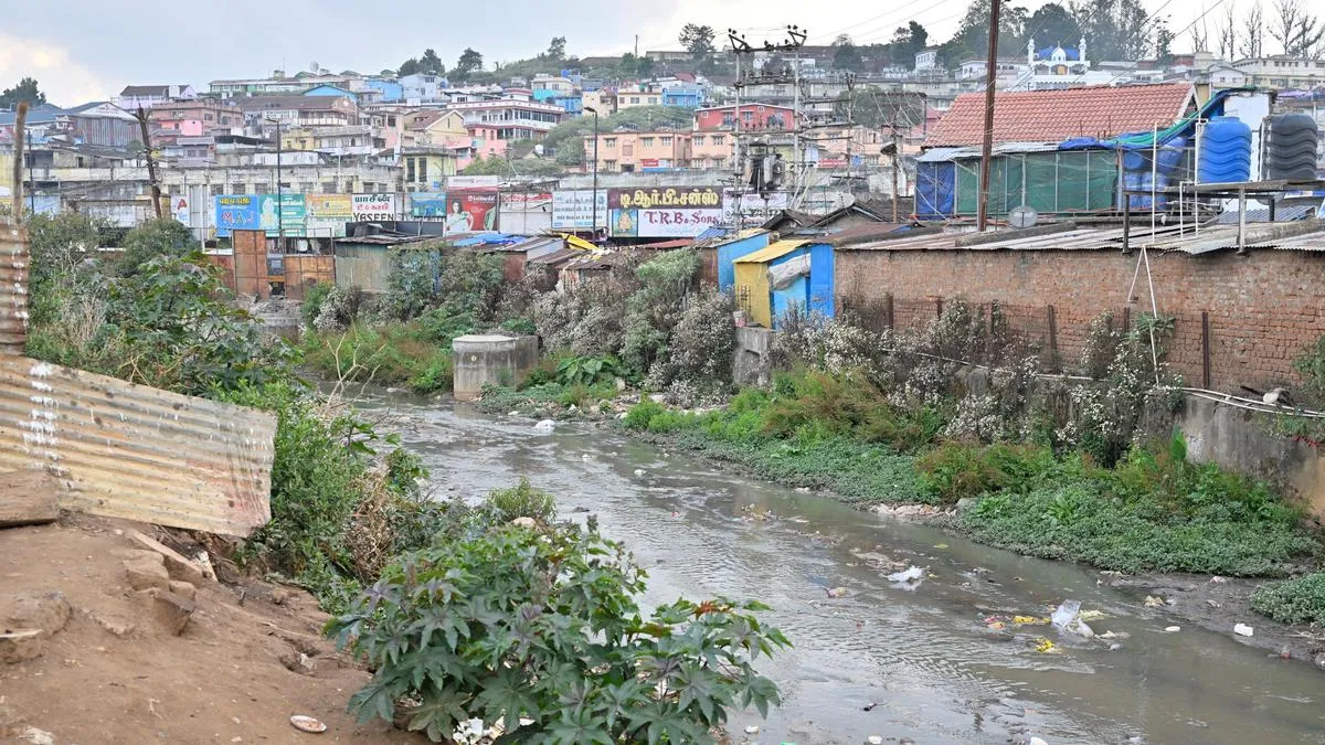 Tamil Nadu Assembly election 2026: Udhagamandalam faces challenges in tourism and tea sectors - TownLive News