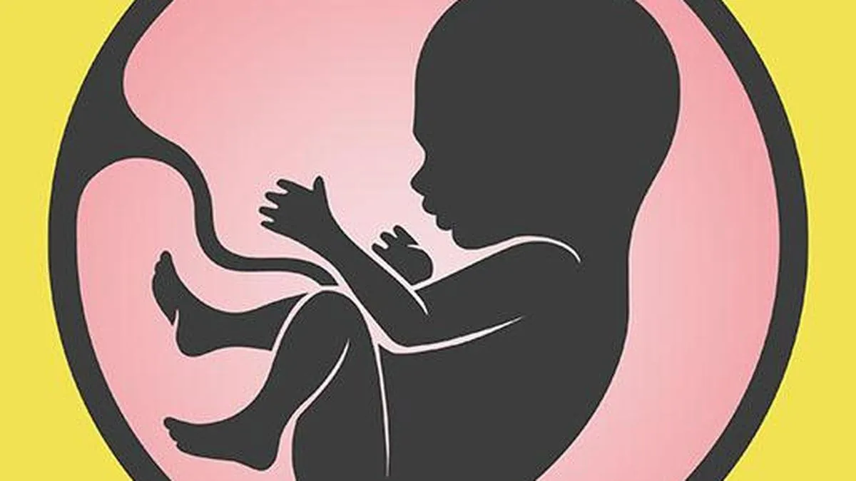 The many and varied medical uses of the placenta