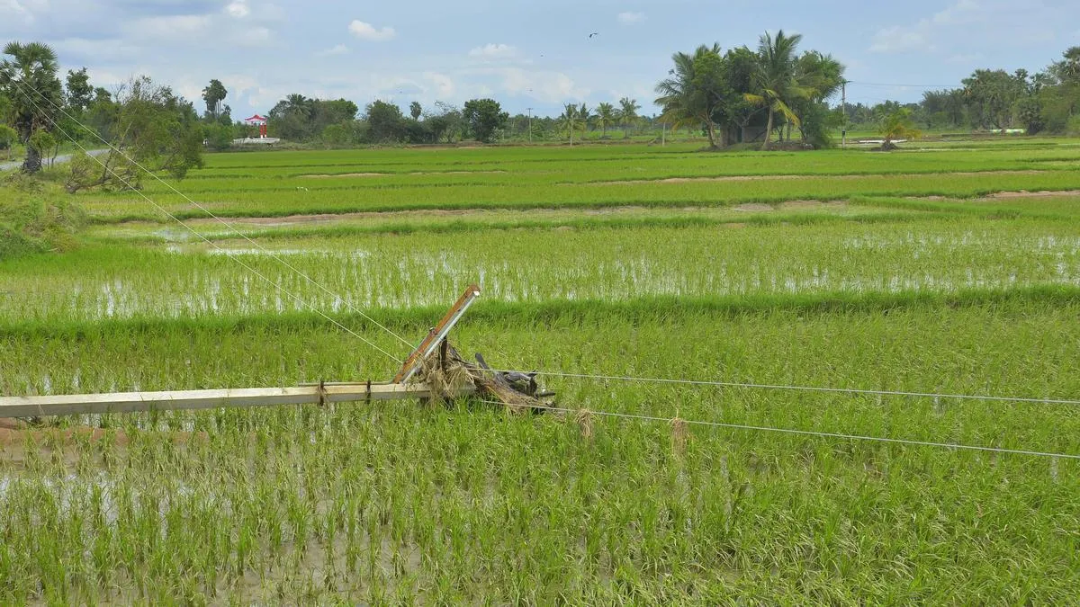 T.N. election 2026: Kurinjipadi constituency voters want non-polluting, agro-based industrial boost 