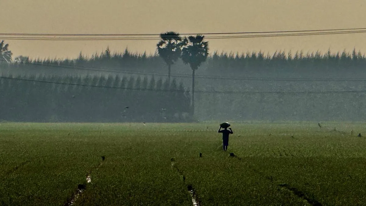 T.N. election: AIADMK&rsquo;s promise of crop loan waiver raises questions of feasibility