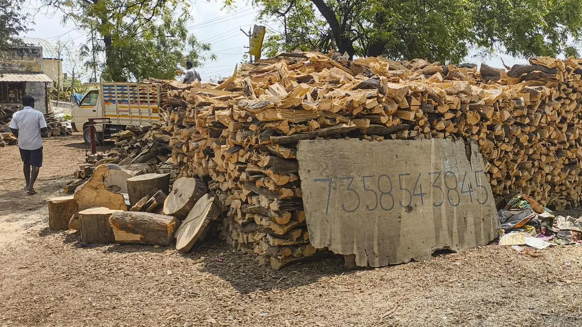 Tree felling banned in view of likely increase in demand for firewood