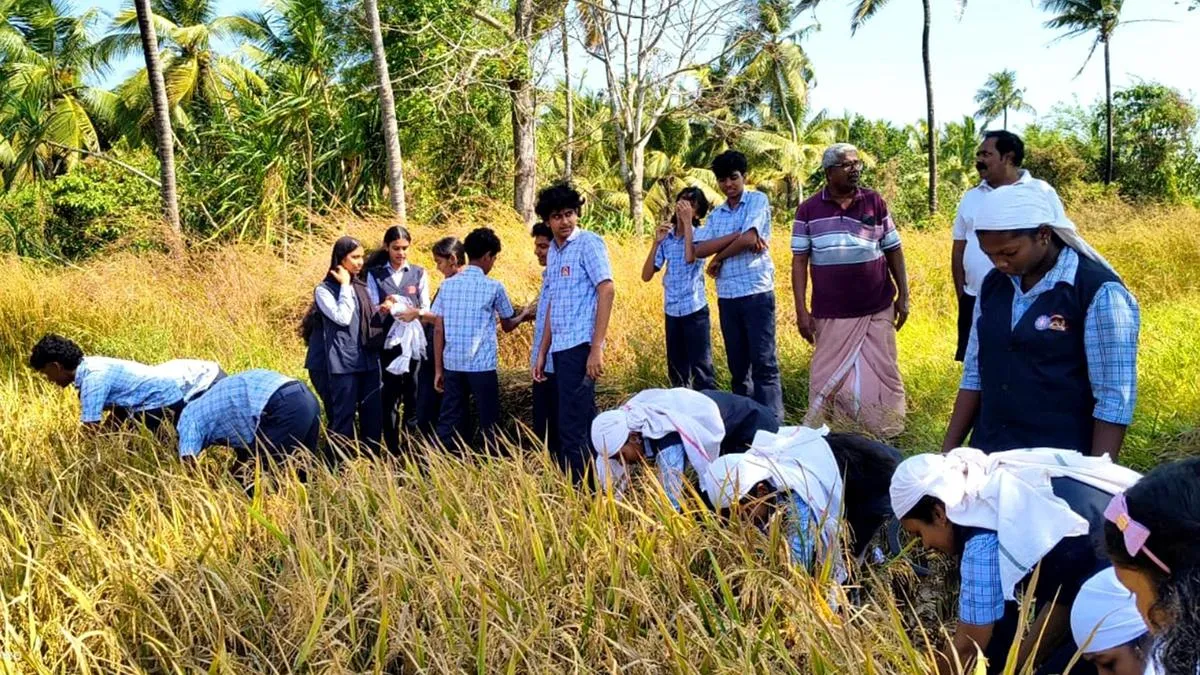 Twin joys from students&rsquo; farming efforts in Thrissur