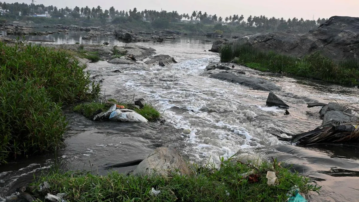 Untreated waste, poor civic infra mar Erode (East) Assembly constituency