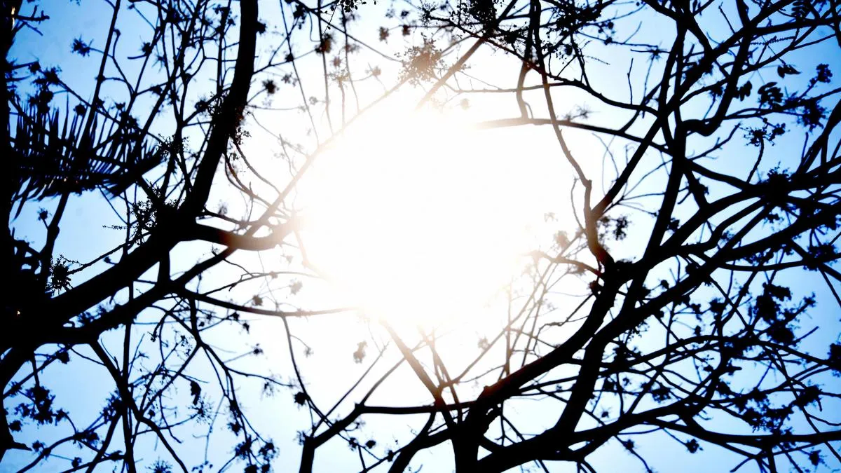 UVI levels remain high in parts of Kerala, alerts issued in districts