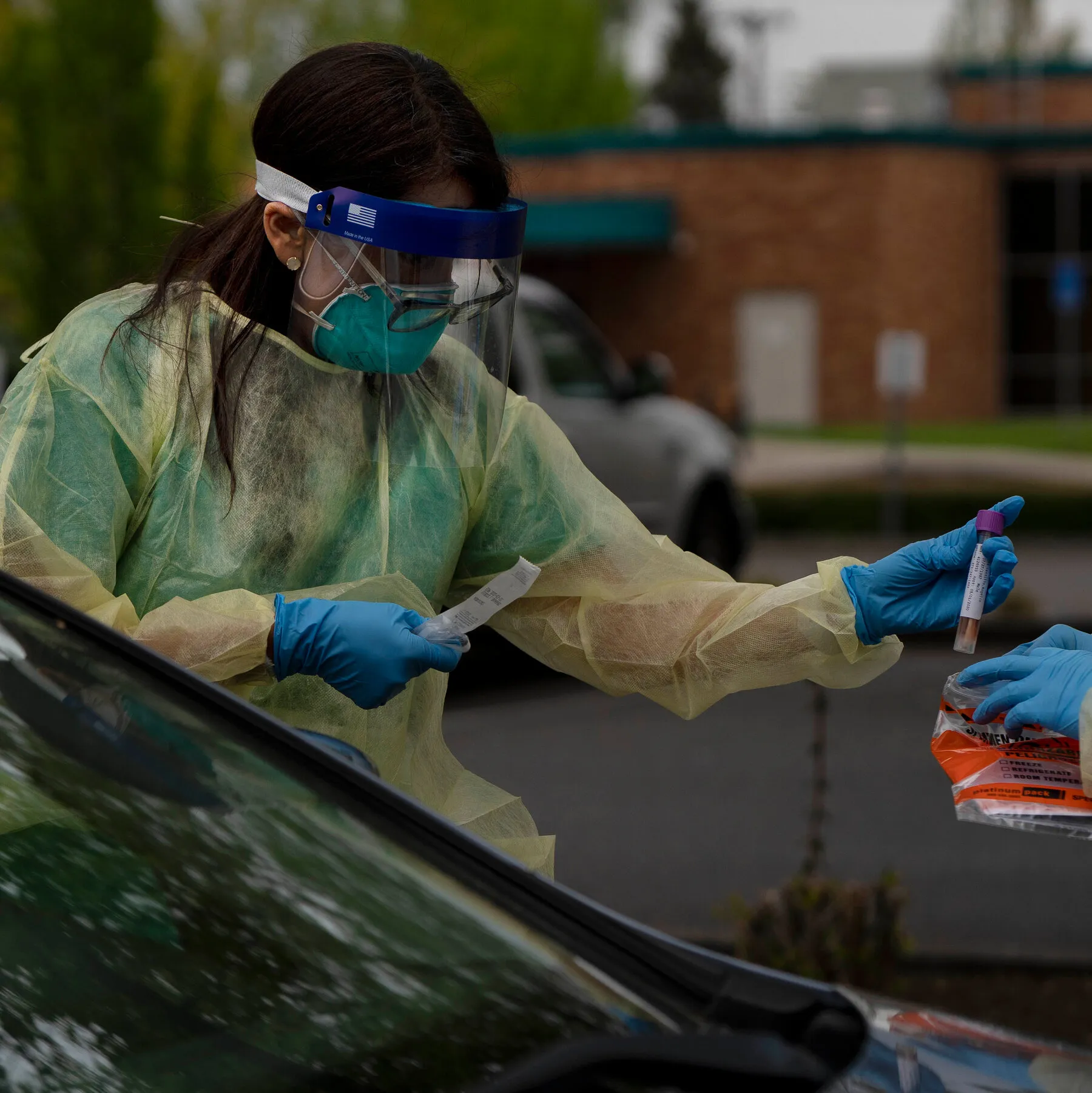 Viral Outbreaks Take a Common Path from Animals to People, Study Finds