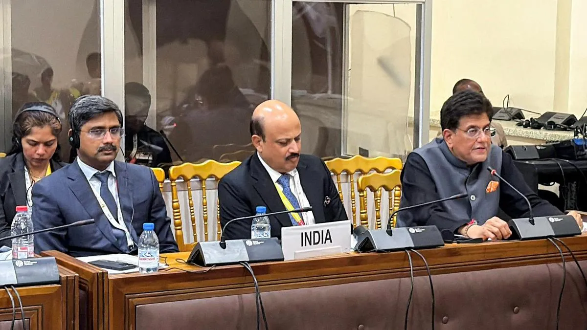 WTO&rsquo;s fisheries pact: India for 25 year transition period, stronger disciplines on distant-water industrial fishing